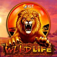 The Wild Life Slot Review